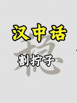 汉中头条最新爆料  第3张