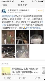 娱乐圈爆料流浪狗  第1张